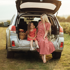 auto_box_spring_laur