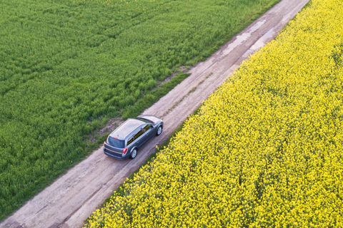 auto_content_spring_laur