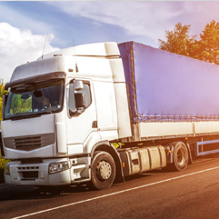 commercial_auto_box_spring_laur