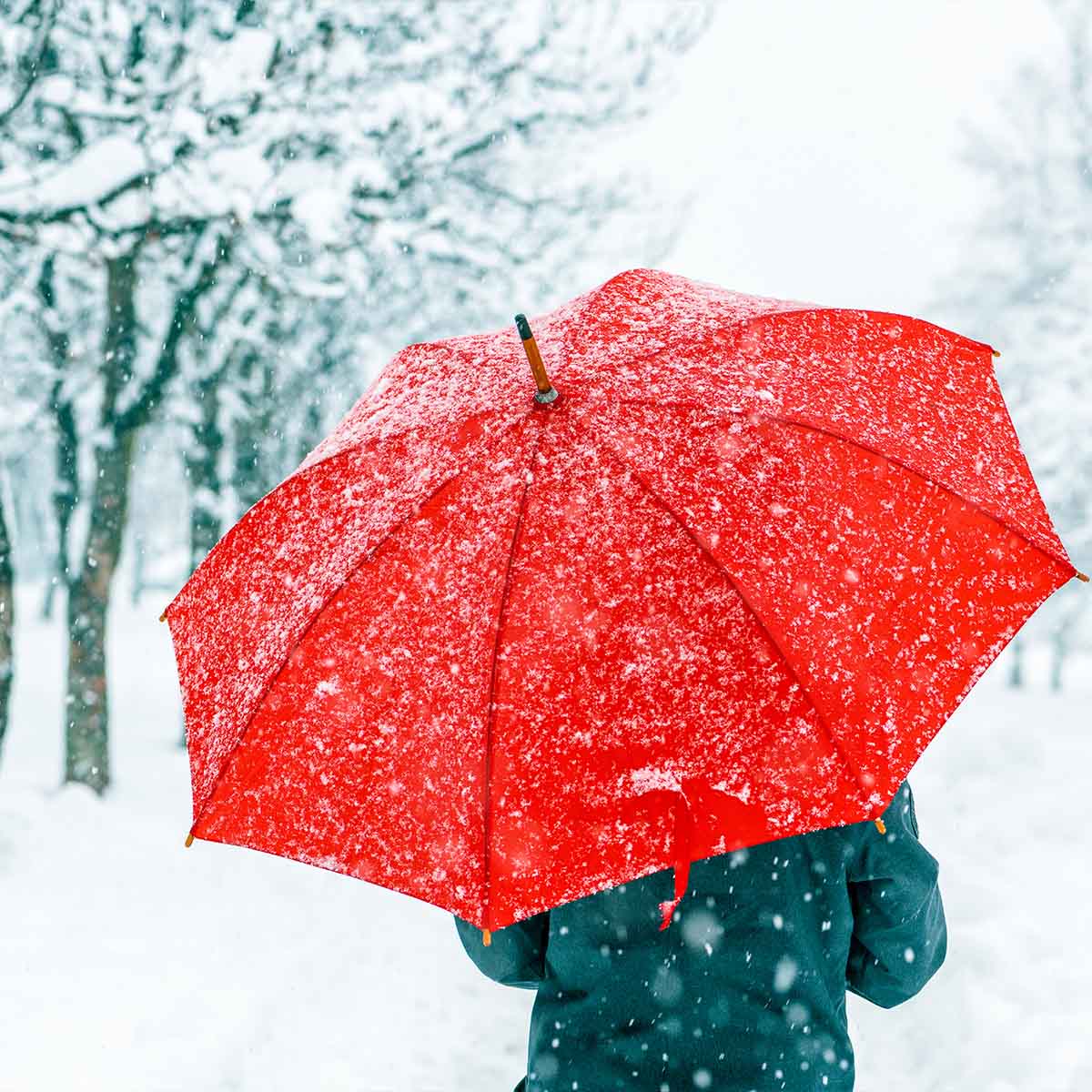 Person holding a vibrant red umbrella