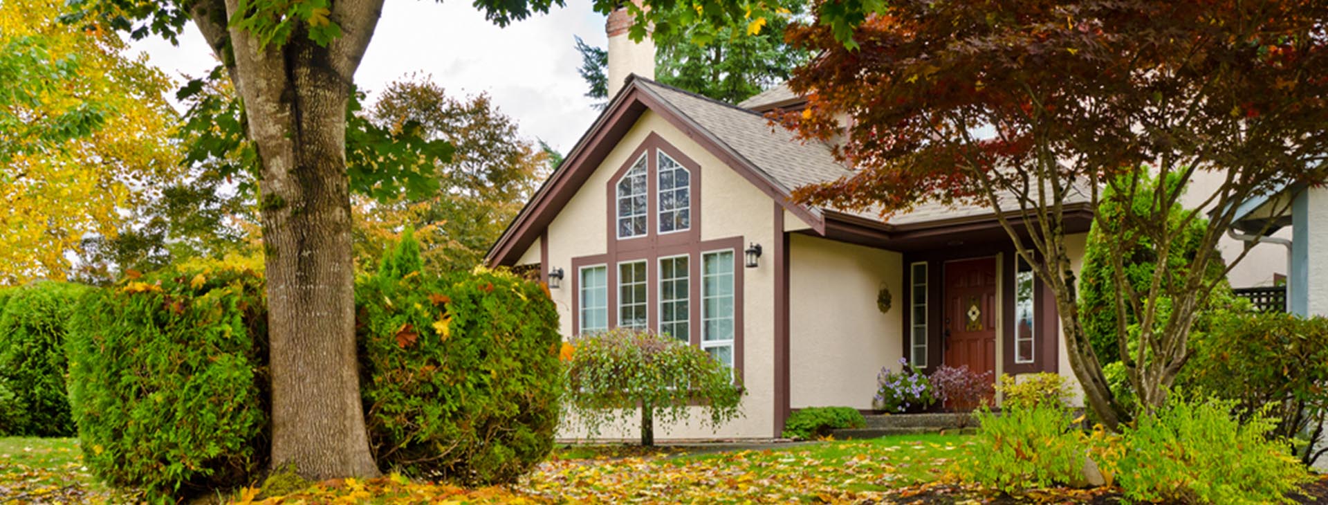 A house with a large tree and a house with a large window